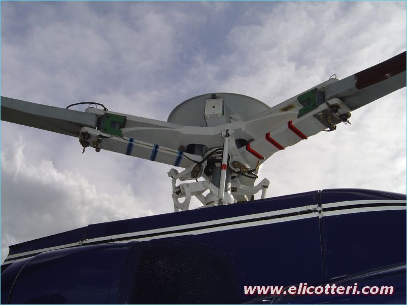 elifoto (84)